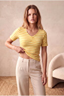 Yellow Striped