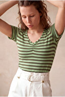 Green Striped