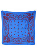 BurgundyBlue