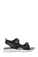 BLACK-102688774