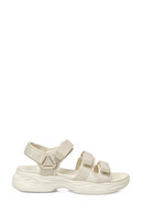 Beige-102239134