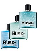 Avon Musk Marine Fresh Ve Freeze Erkek Parfüm Paketi