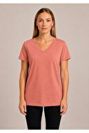 Soft Coral