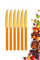 Rooc Yeni Ürün Lüks Meyve Bıçağı Seti Altın 6 Parça Bıçak Takımı Kare Saplı Meyve Bıçağı Altın