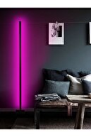 Pinkblue Light Modern Rgb 256 Renk Dekoratif Lambader Led Işık Sistemi