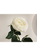 English Home Adverse Kumaş Tek Dal Yapay Çiçek 62 Cm Beyaz