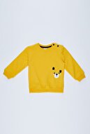 Defacto Erkek Bebek Regular Fit Tekli Sweatshirt