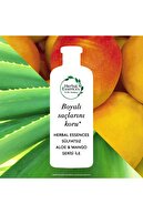 Herbal Essences Sülfatsız Renk Koruma ve Nem Aloe + Mango  Şampuan 380 ml