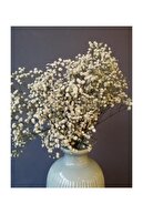Kuru Çiçek Deposu Kuru Çiçek 1.kalite Şoklanmış Dökülmeyen Natural Beyaz Cipso Demeti