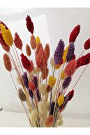 mixed colors