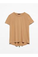 Dark Camel