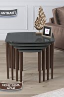 Coffee Tables Anthracite Legs Walnut