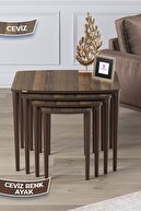 Coffee Tables Walnut Legs Walnut
