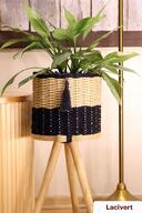 Natural / Navy