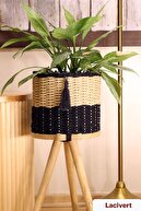 Natural/Navy