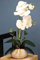 Yapay Çiçek Deposu Dekoratif 2li Mini Yapay Islak Orkide Tanzimi Beyaz 45 Cm