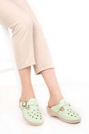 Water Green