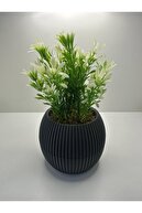 GRAYAXIS-GREENWHITEPLANT