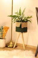 Natural / Dark Green