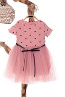 Dusty Rose