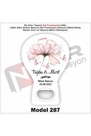 Model 287