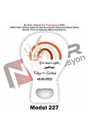 Model 227