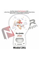 Model 241