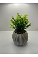 BEJSAKSI-GREENBITKI
