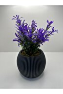 GRAYAXIS-PURPLEPLANT