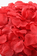 Parti Dolabı 500 Adet Kırmızı Gül yaprakları Evlilik Teklifi Gül Yaprağı