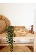 Wicker3