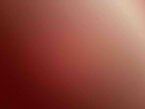 Değerlendirme fotoğrafı