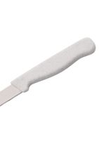 Solingen Simli Desen Meyve Bıçağı 12'li Takım - Beyaz - 4