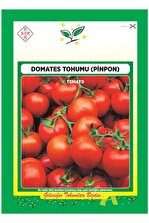 Ekodoğa Cherry Domates Tohumu 1 Paket ( 250 Adet Tohum ) Chery Domates Çeri Domates Salkım Domates Tohumu - 1