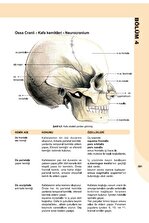 Ema Tıp Kitabevi İnsan Anatomisi ve Fizyolojisine Giriş - 7