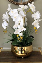 Mathilda Home Design Yapay Islak Beyaz Orkide - 2