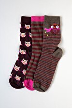 Katia&Bony 3 Lü Paket Baykuş Desenli Kadın Soket Çorap - 2