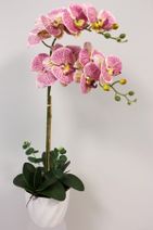 Yapay Çiçek Deposu Yapay Çiçek Melamin Saksıda 2Li Orkide Tanzim Fuşya Benekli 75 Cm - 1