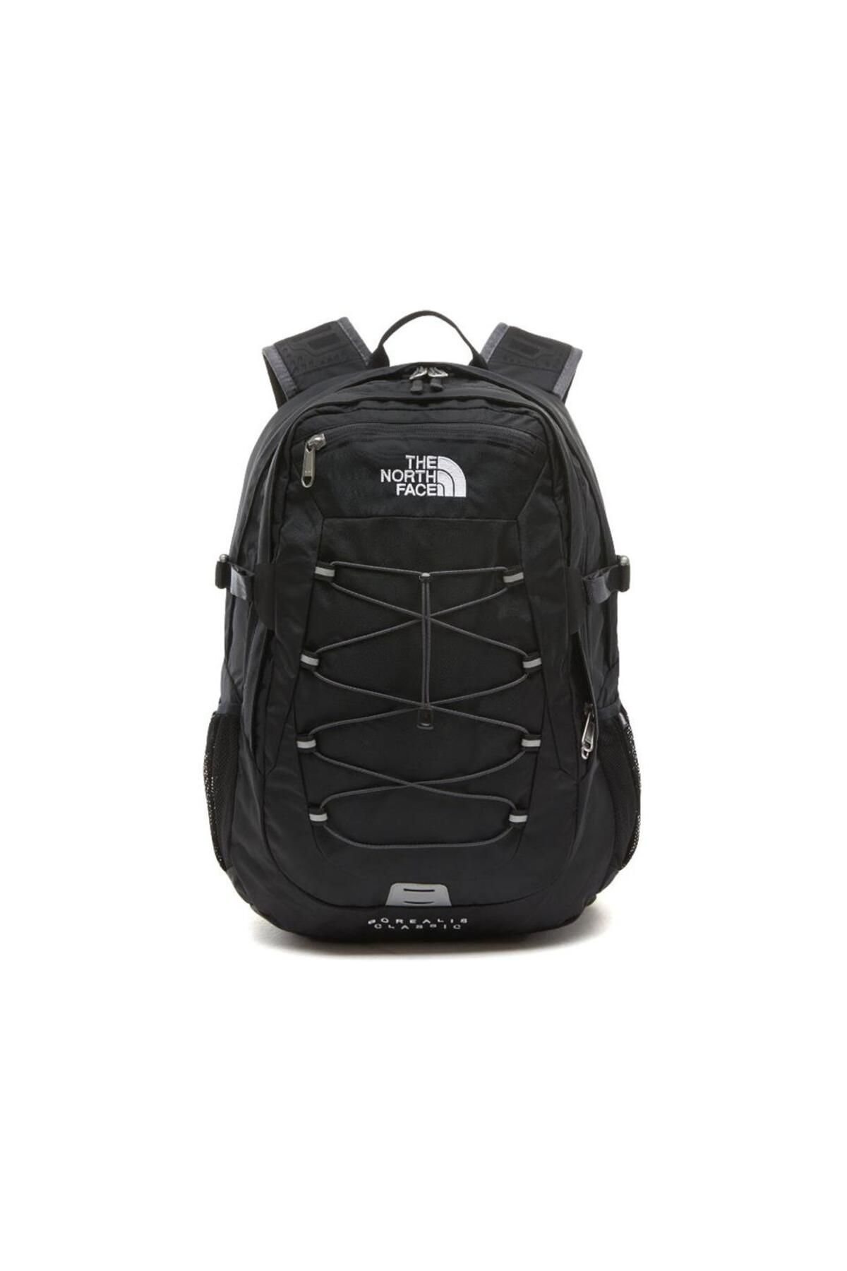 He north face 2025 borealis