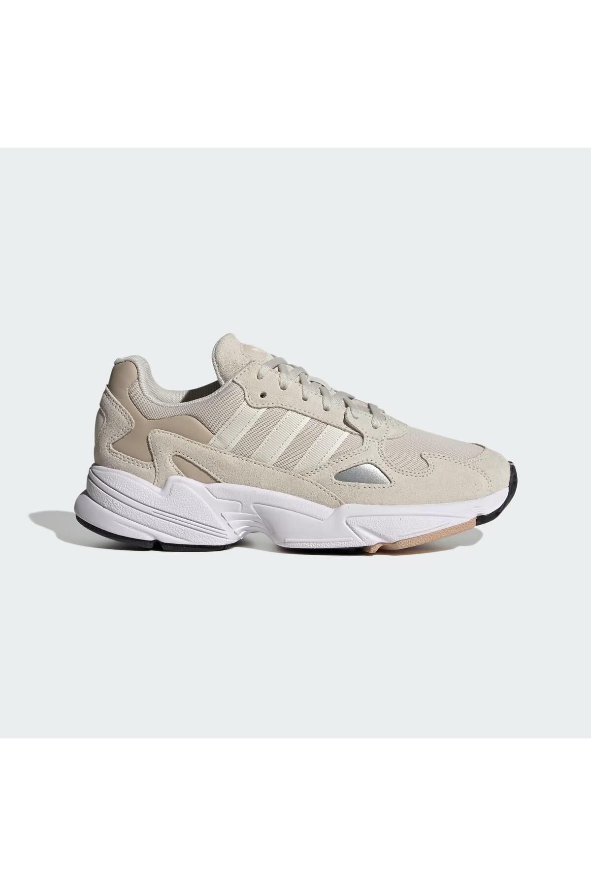 Falcon casual shop shoes