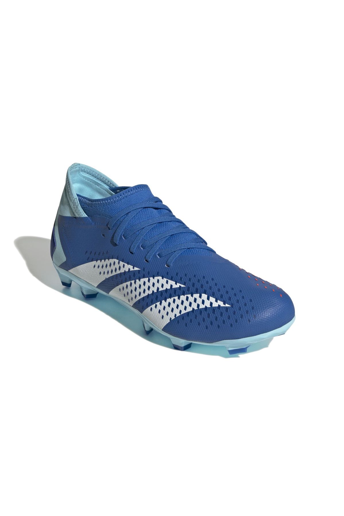 Adidas predator training shoes discount