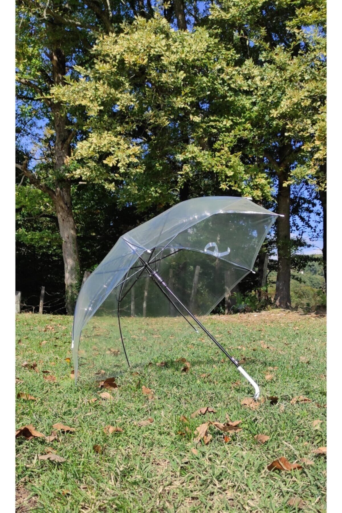 Mia Transparent Walking Stick Umbrella Trendyol