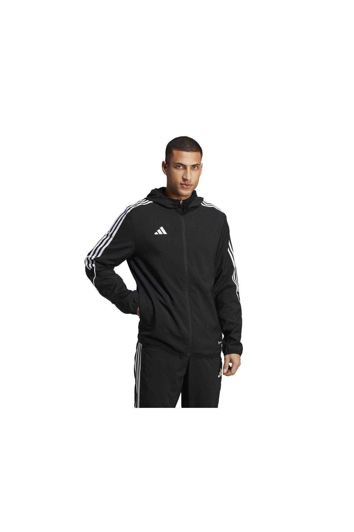 Training jacket adidas 2025