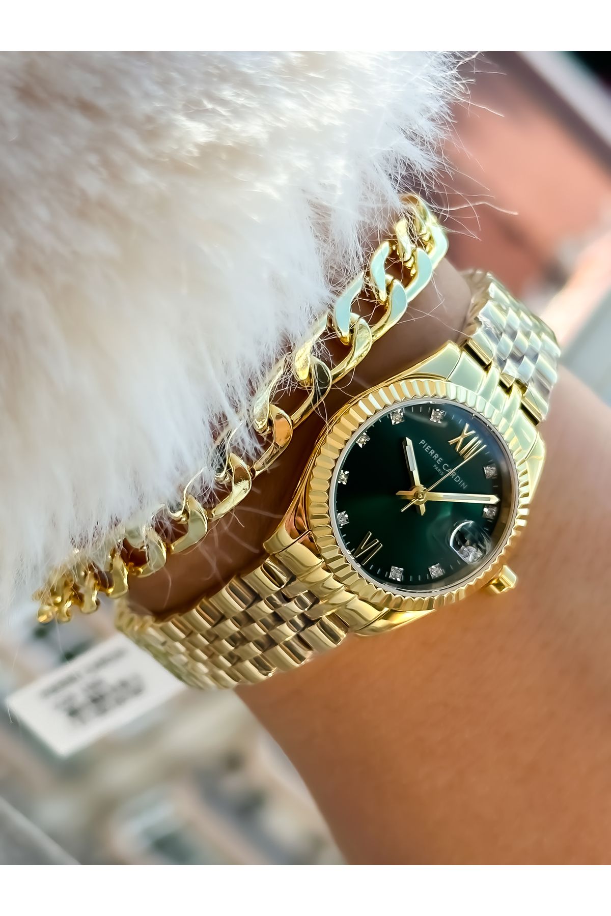 Pierre cardin 2025 wrist watch