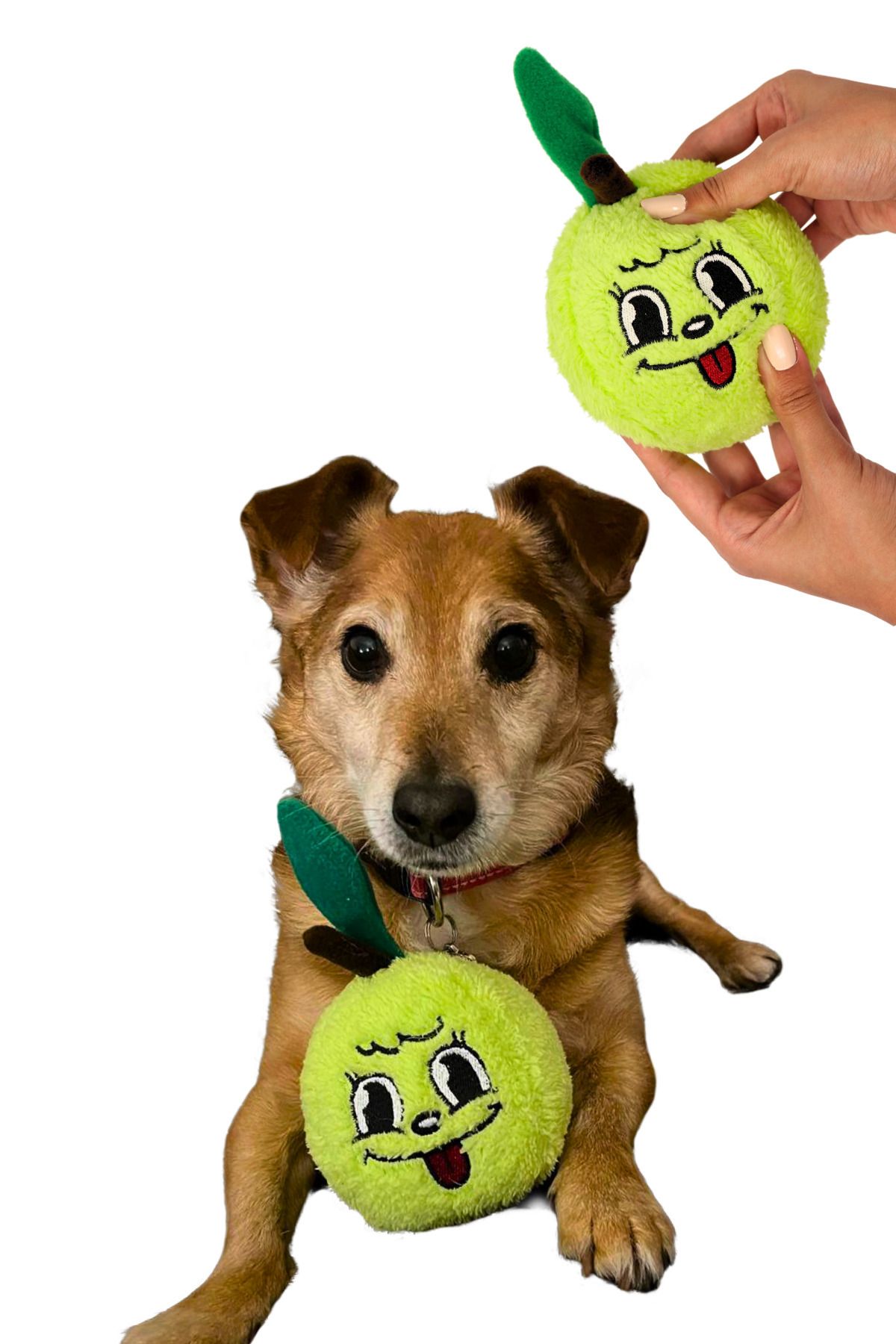 Green dog toy on sale