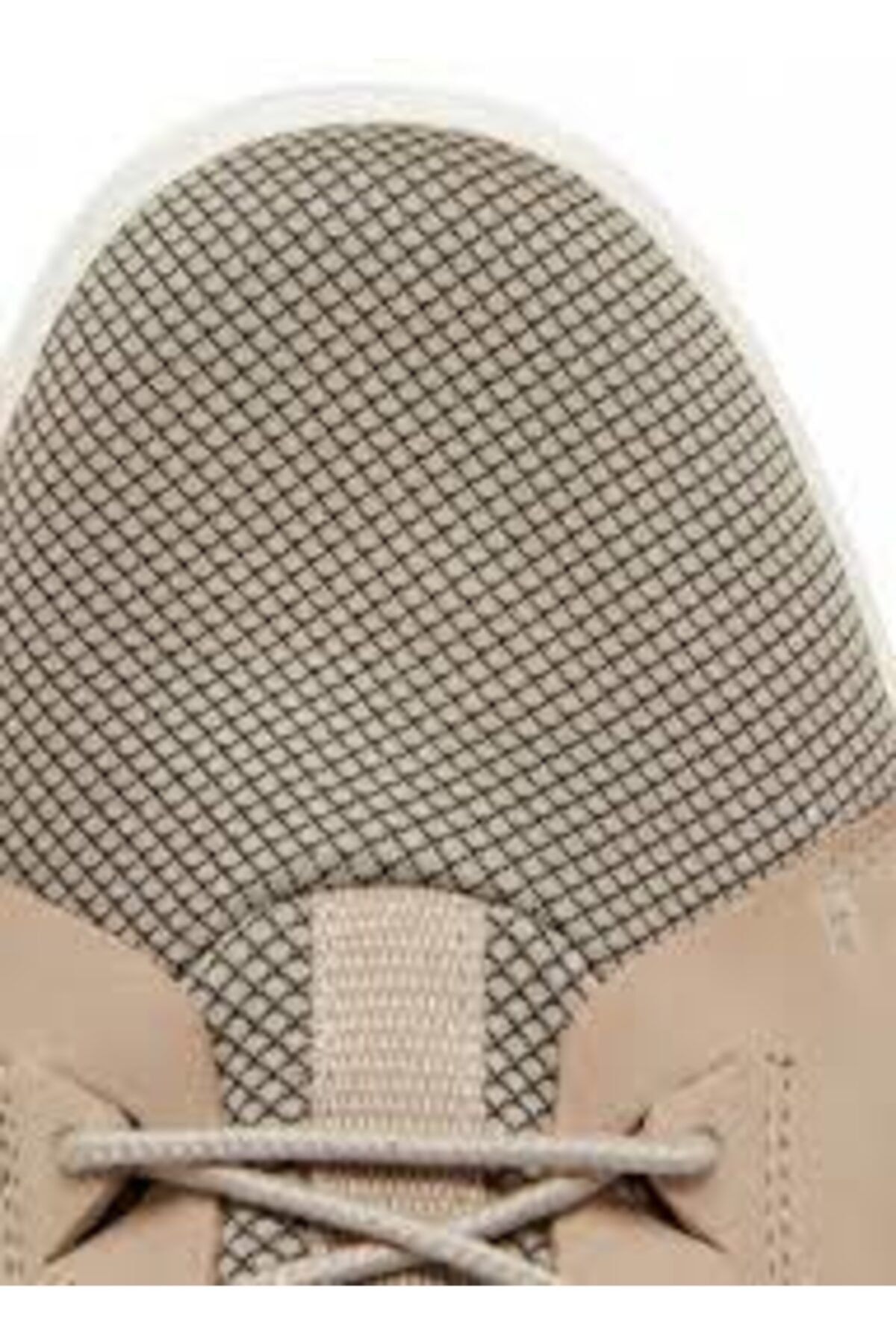 Timberland amherst lthr ltt sneaker discount