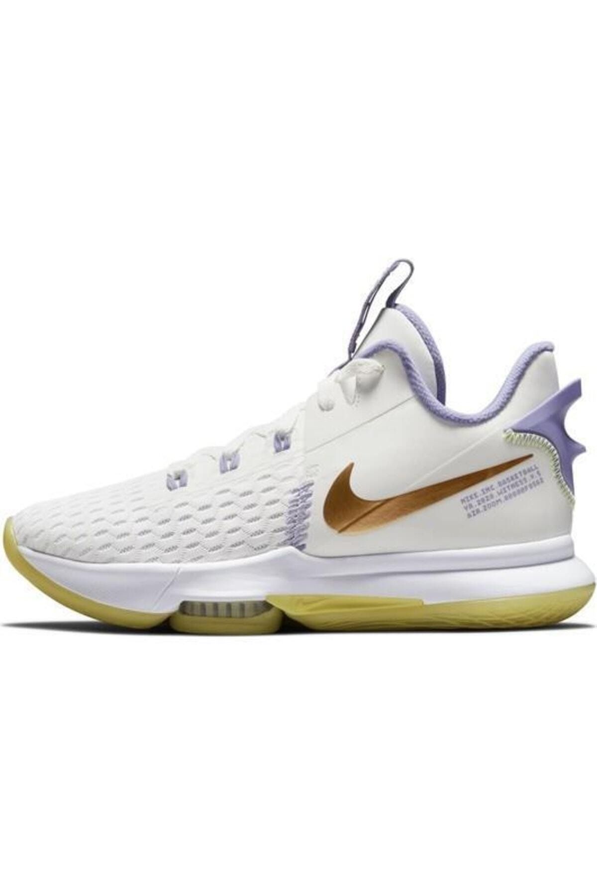 Lebron v shoes store