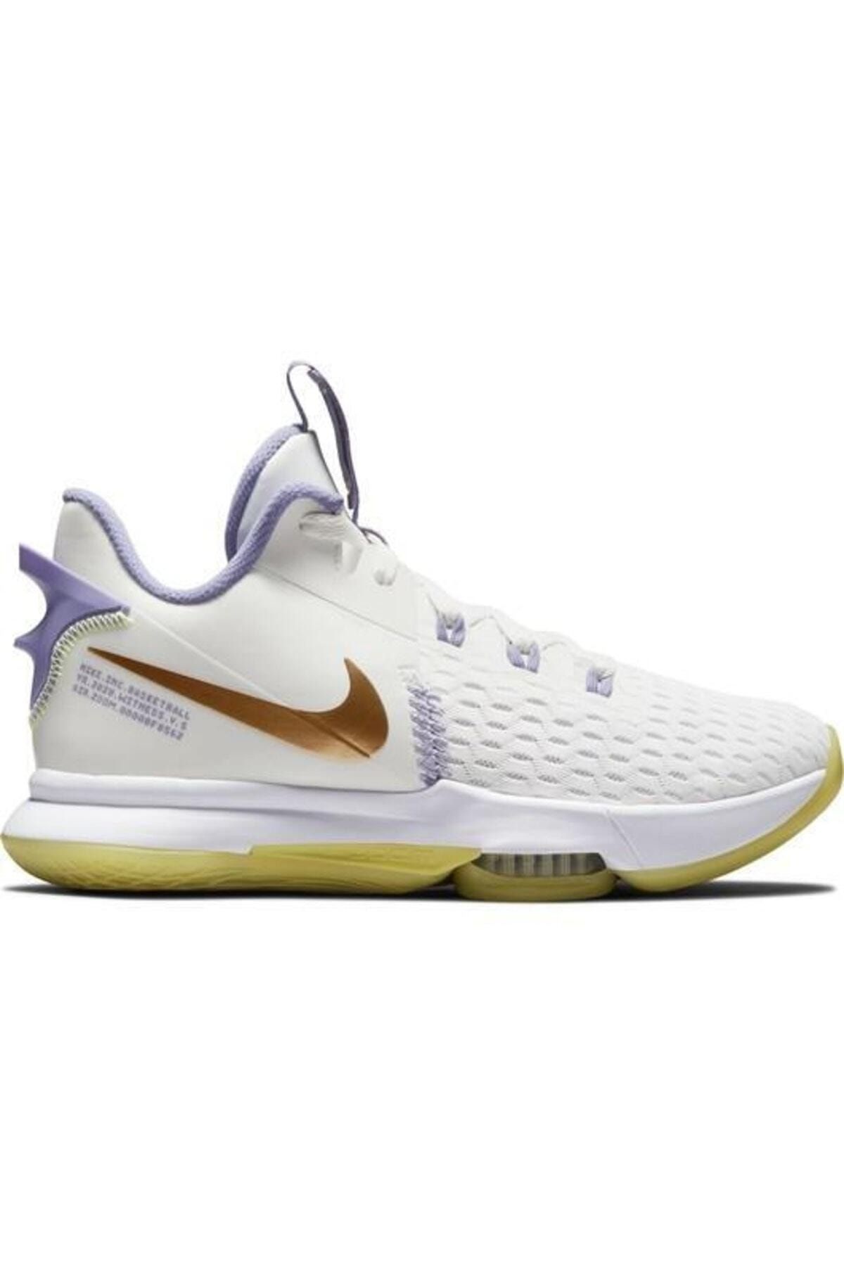 Lebron shop v shoes