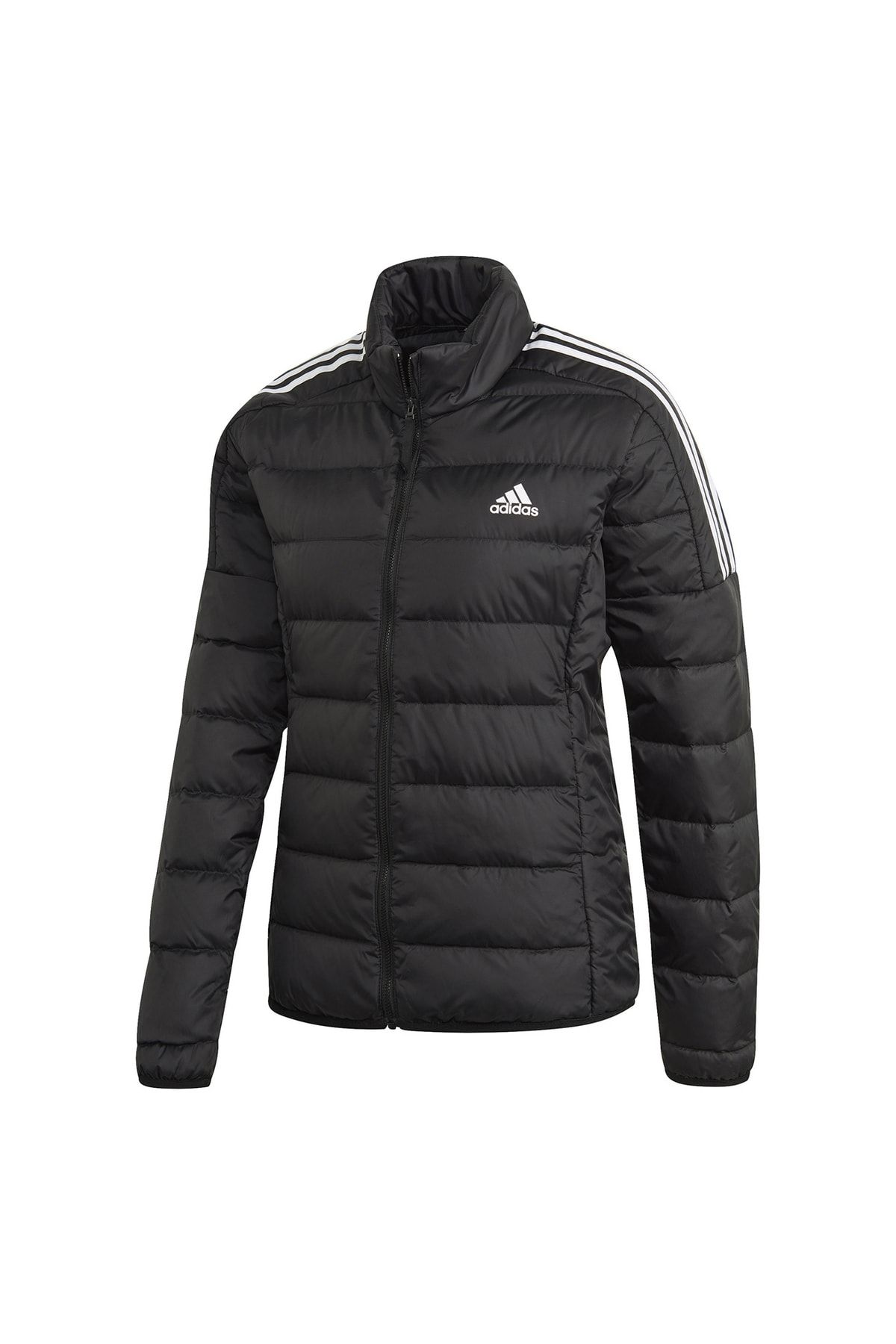 Womens adidas jacket sales black and white