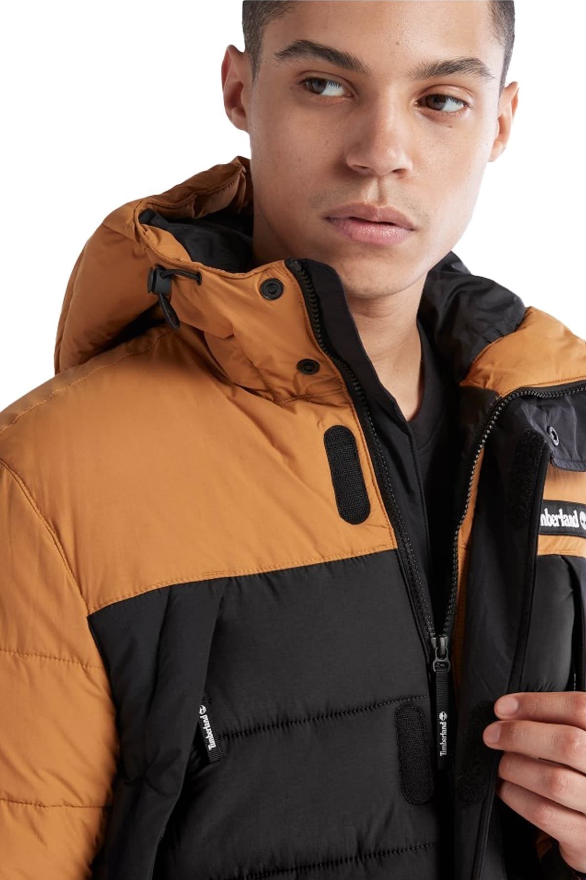Timberland winter jacket clearance